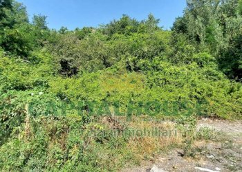 Foto 5 - Terreno agricolo via Scavolella, Ottaviano - foto 5