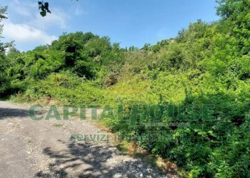 Foto 6 - Terreno agricolo via Scavolella, Ottaviano - foto 6