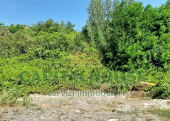 Foto 7 - Terreno agricolo via Scavolella, Ottaviano - foto 7