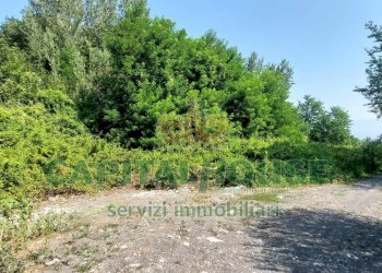 Foto 9 - Terreno agricolo via Scavolella, Ottaviano - foto 9