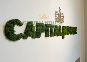 Foto 13 - Terreno agricolo via Scavolella, Ottaviano - foto 13