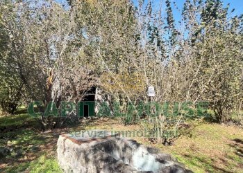 Foto 1 - Agricultural land contrada colonna, Poggiomarino - photo 1