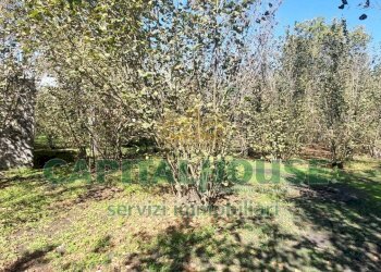 Foto 2 - Agricultural land contrada colonna, Poggiomarino - photo 2