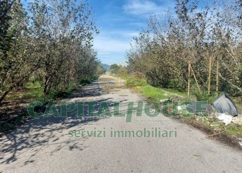 Foto 3 - Agricultural land contrada colonna, Poggiomarino - photo 3