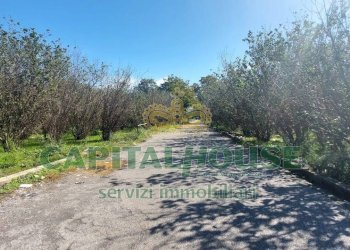 Foto 4 - Agricultural land contrada colonna, Poggiomarino - photo 4