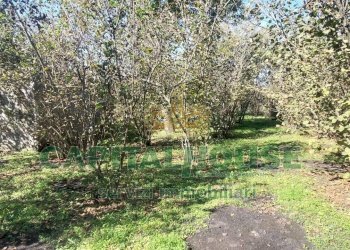 Foto 6 - Agricultural land contrada colonna, Poggiomarino - photo 6