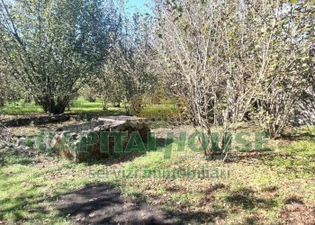 Foto 7 - Agricultural land contrada colonna, Poggiomarino - photo 7