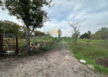 Foto 3 - Terreno edificabile via vasca al pianillo, San Giuseppe Vesuviano - foto 3