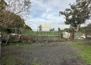 Foto 7 - Terreno edificabile via vasca al pianillo, San Giuseppe Vesuviano - foto 7