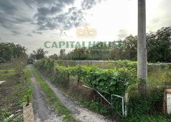 Foto 10 - Terreno edificabile via vasca al pianillo, San Giuseppe Vesuviano - foto 10