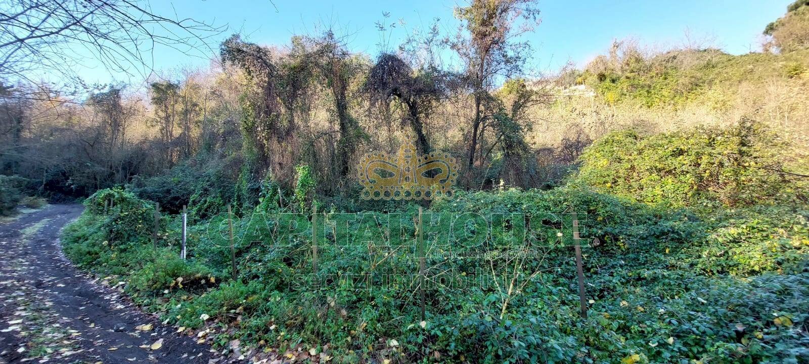 Foto 1 - Terreno agricolo via Scavolella, Ottaviano - foto 1