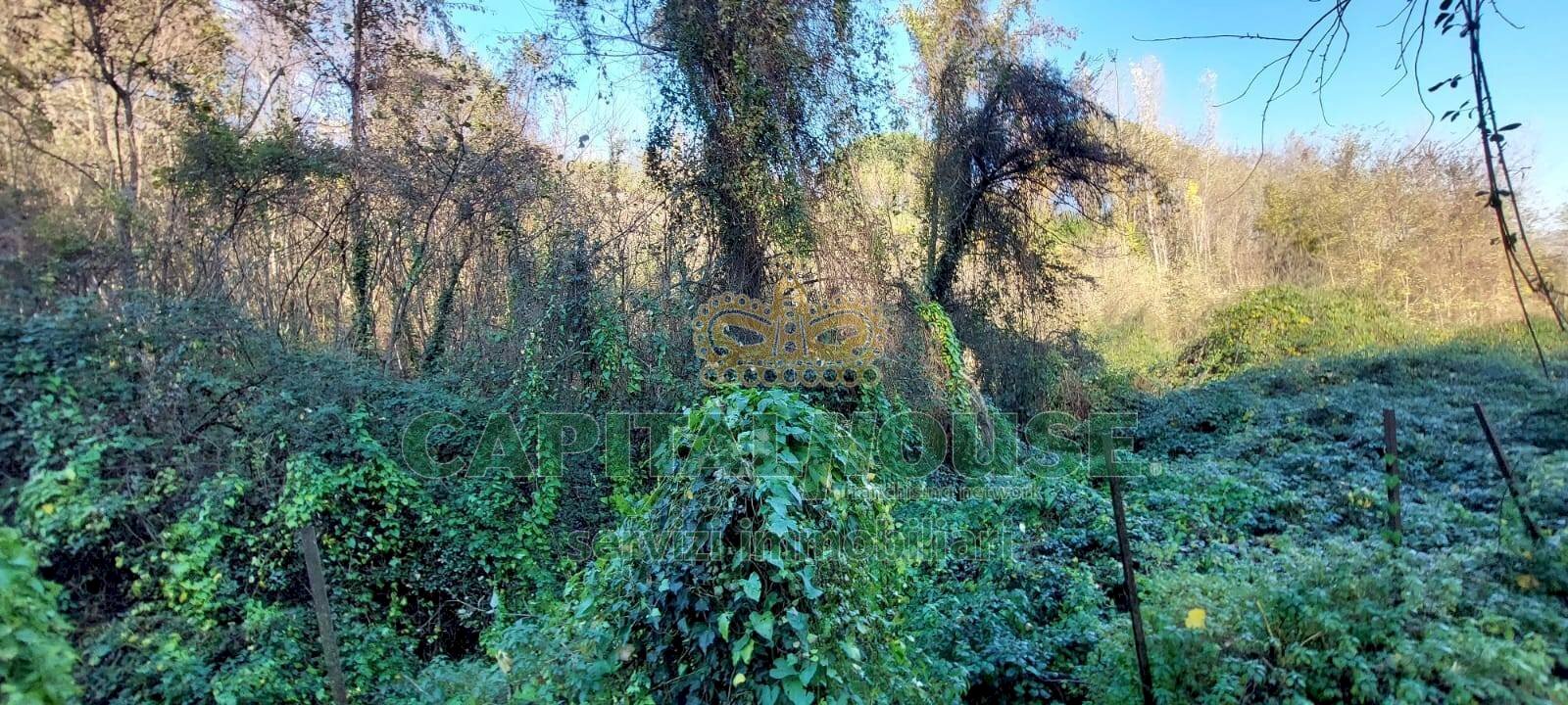 Foto 2 - Terreno agricolo via Scavolella, Ottaviano - foto 2