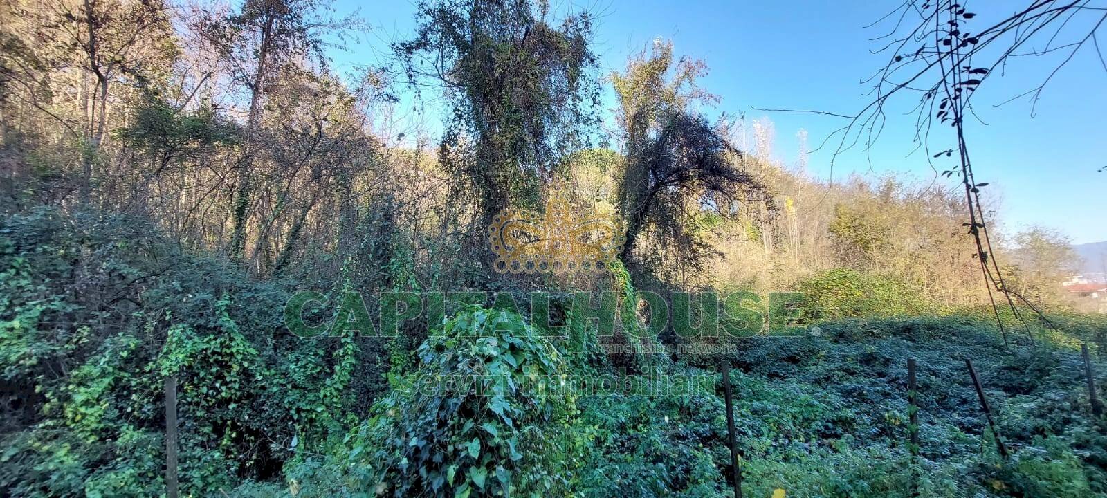 Foto 3 - Terreno agricolo via Scavolella, Ottaviano - foto 3