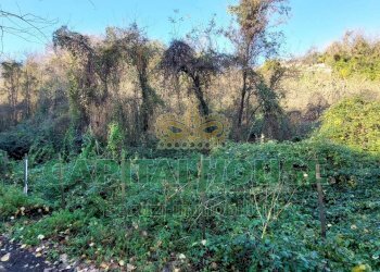 Foto 1 - Terreno agricolo via Scavolella, Ottaviano - foto 1