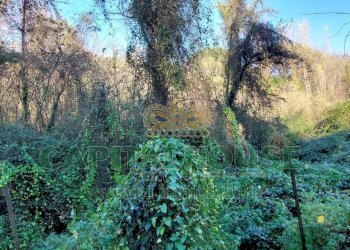 Foto 2 - Terreno agricolo via Scavolella, Ottaviano - foto 2