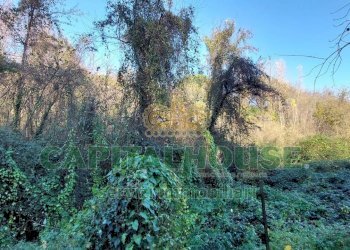 Foto 3 - Terreno agricolo via Scavolella, Ottaviano - foto 3