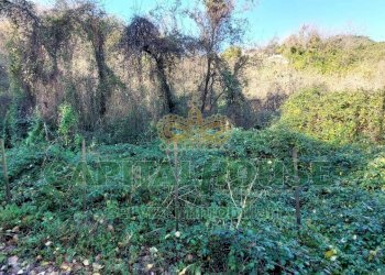 Foto 4 - Terreno agricolo via Scavolella, Ottaviano - foto 4