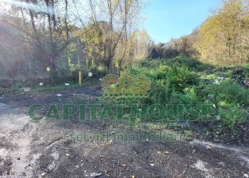 Foto 6 - Terreno agricolo via Scavolella, Ottaviano - foto 6