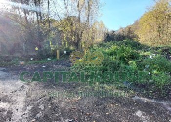 Foto 7 - Terreno agricolo via Scavolella, Ottaviano - foto 7