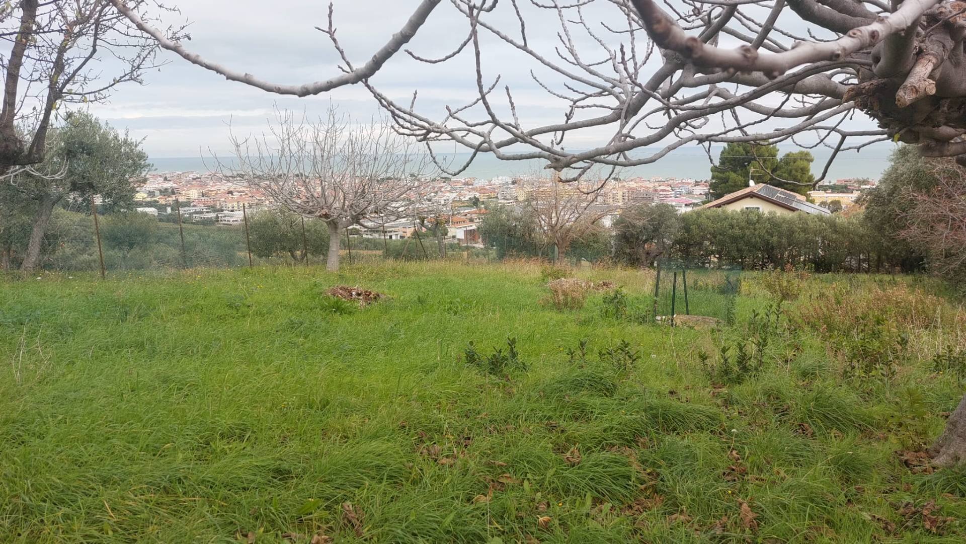 Foto 2 - Terreno edificabile via Molise, Tortoreto - foto 2