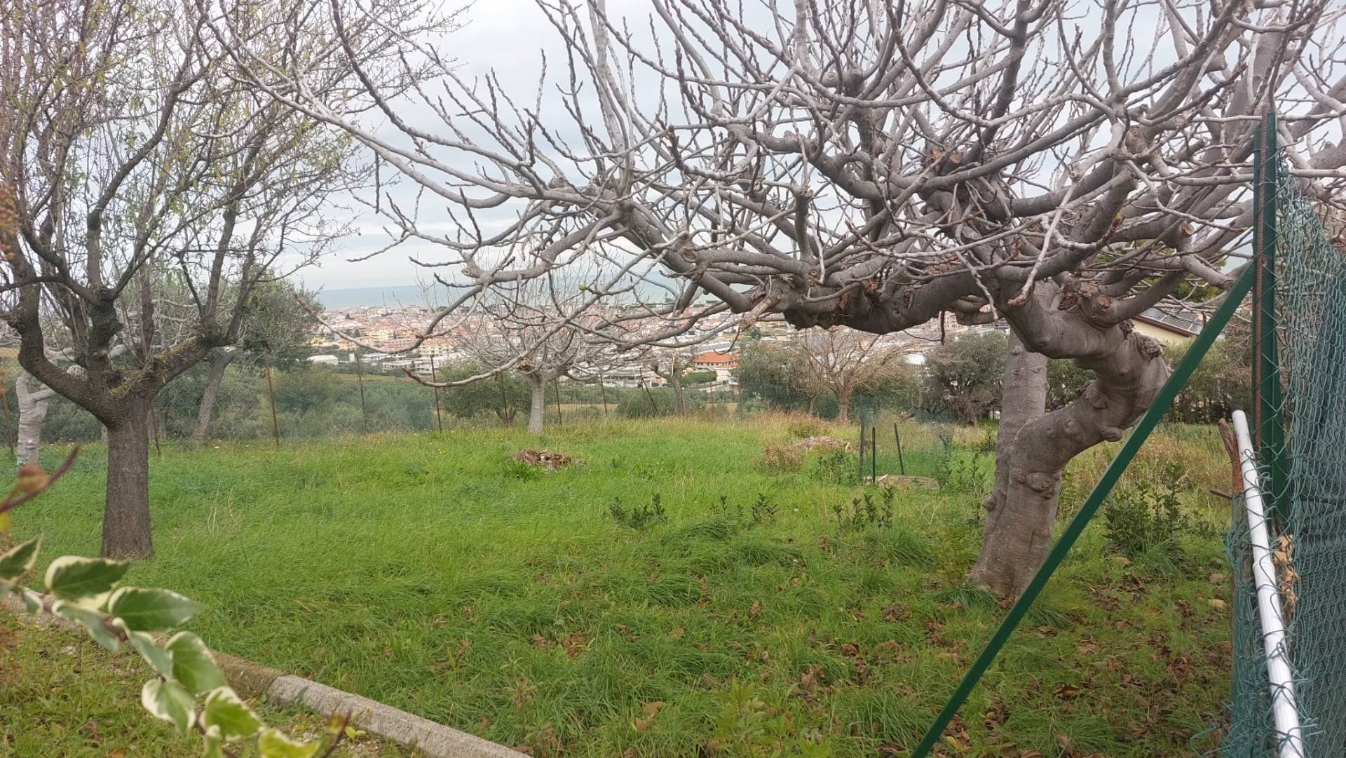 Foto 3 - Terreno edificabile via Molise, Tortoreto - foto 3