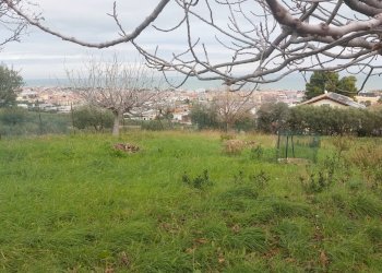 Foto 2 - Terreno edificabile via Molise, Tortoreto - foto 2