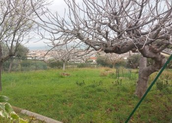 Foto 3 - Terreno edificabile via Molise, Tortoreto - foto 3