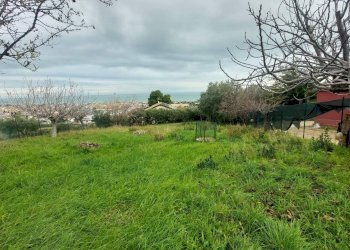 Foto 4 - Terreno edificabile via Molise, Tortoreto - foto 4