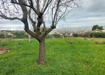Foto 5 - Terreno edificabile via Molise, Tortoreto - foto 5