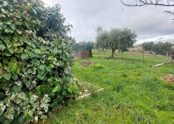 Foto 6 - Terreno edificabile via Molise, Tortoreto - foto 6
