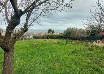 Foto 7 - Terreno edificabile via Molise, Tortoreto - foto 7
