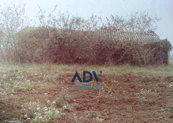 Foto 12 - Rustic via del cardeto, Assisi - photo 12