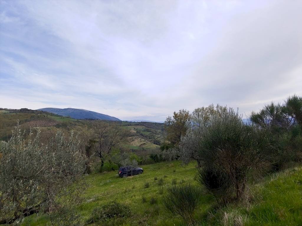 Foto 3 - Terreno agricolo Assisi - foto 3