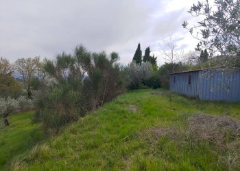 Foto 1 - Terreno agricolo Assisi - foto 1