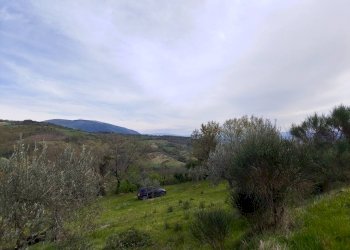 Foto 3 - Terreno agricolo Assisi - foto 3