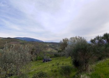 Foto 4 - Terreno agricolo Assisi - foto 4