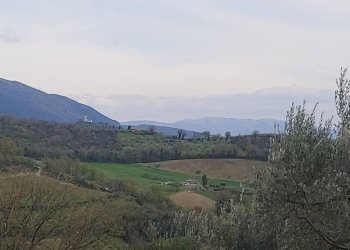 Foto 11 - Terreno agricolo Assisi - foto 11