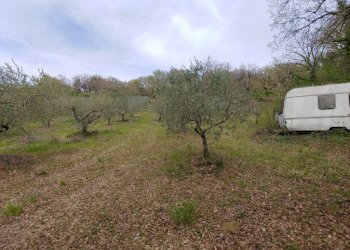 Foto 8 - Terreno agricolo Assisi - foto 8