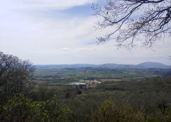 Foto 9 - Terreno agricolo Assisi - foto 9