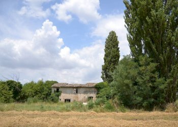 Foto 7 - Rustic Assisi - photo 7