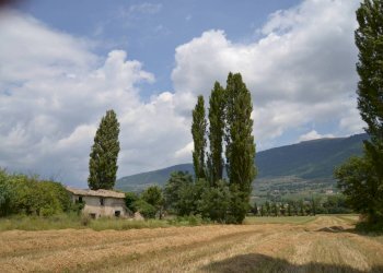 Foto 8 - Rustic Assisi - photo 8