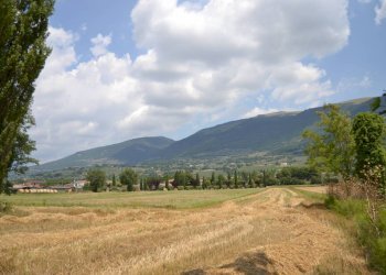 Foto 10 - Rustic Assisi - photo 10