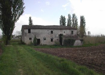 Foto 14 - Rustic Assisi - photo 14