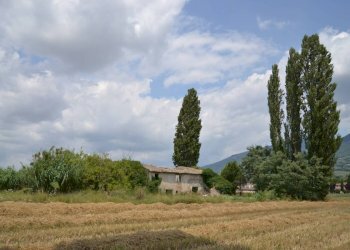 Foto 16 - Rustic Assisi - photo 16