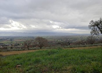Foto 10 - Rustic via santa apollinare
 
1, Assisi - photo 10