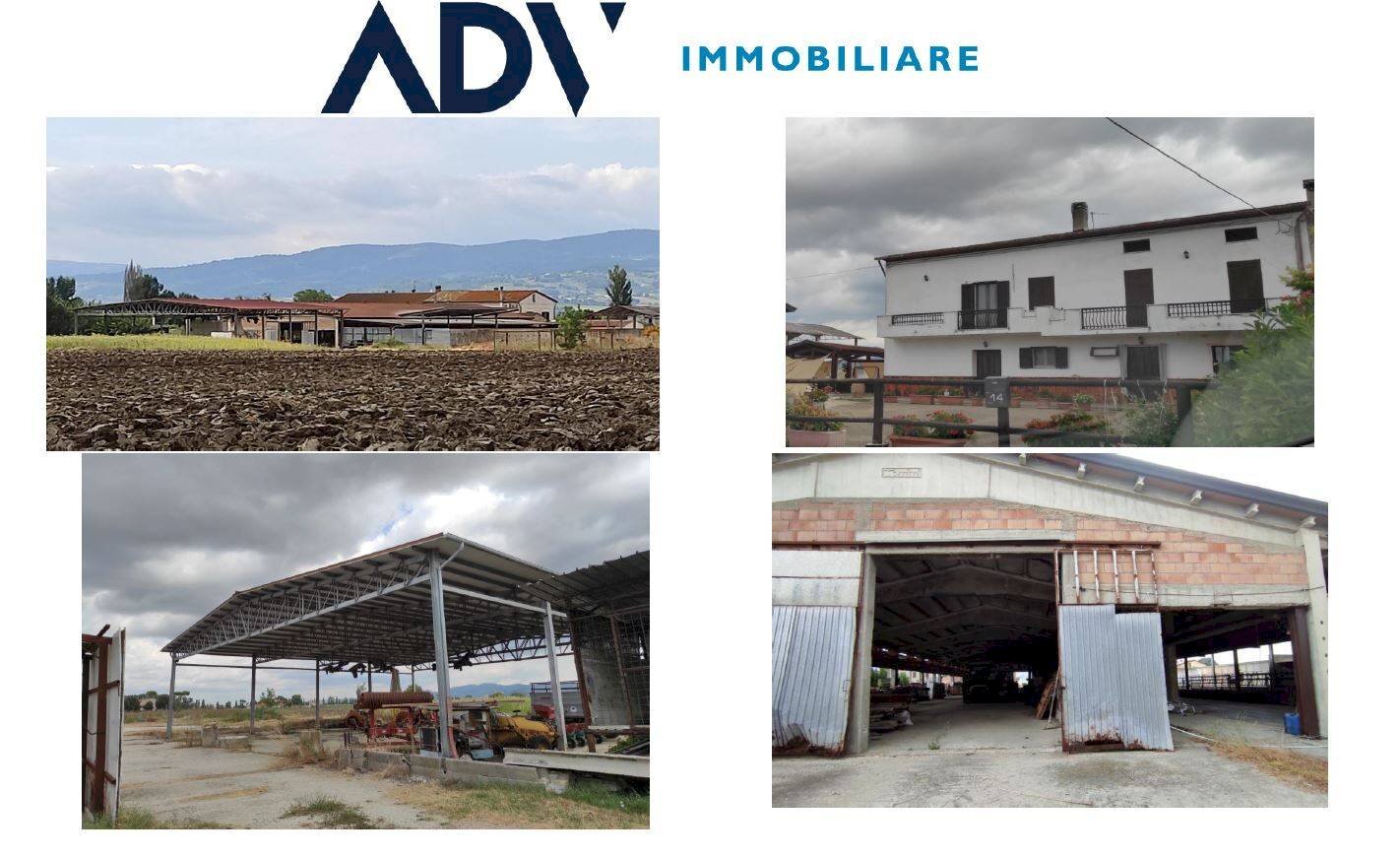 Foto 3 - Farm Assisi - photo 3