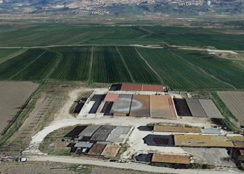 Foto 2 - Farm Assisi - photo 2