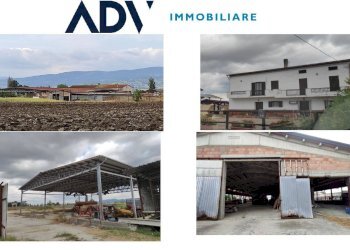 Foto 3 - Farm Assisi - photo 3