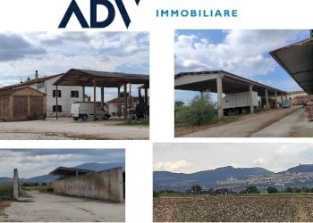 Foto 4 - Farm Assisi - photo 4