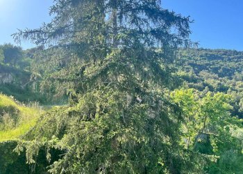 Foto 16 - Independent house via del castello
 
2, Sovicille - photo 16